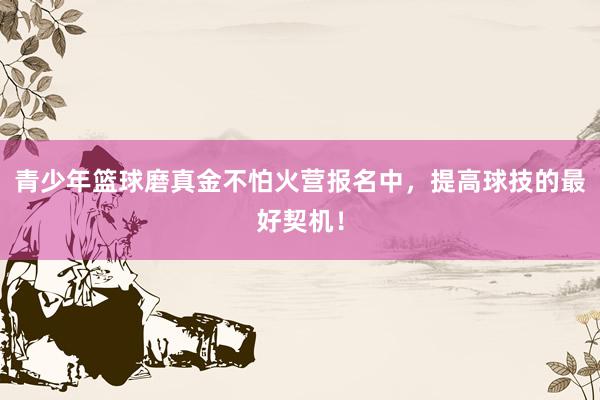 青少年篮球磨真金不怕火营报名中，提高球技的最好契机！