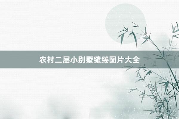 农村二层小别墅缱绻图片大全